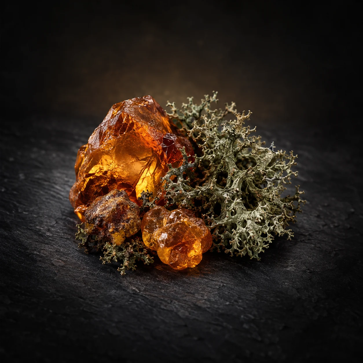 Base fragrance notes for Haadi Solace Gorge: Rich amber and oakmoss